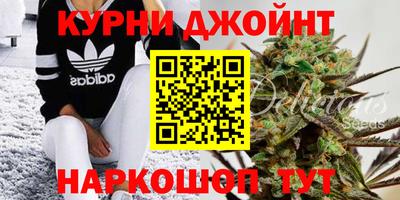 a pvp Будённовск