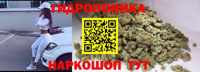 a pvp Будённовск