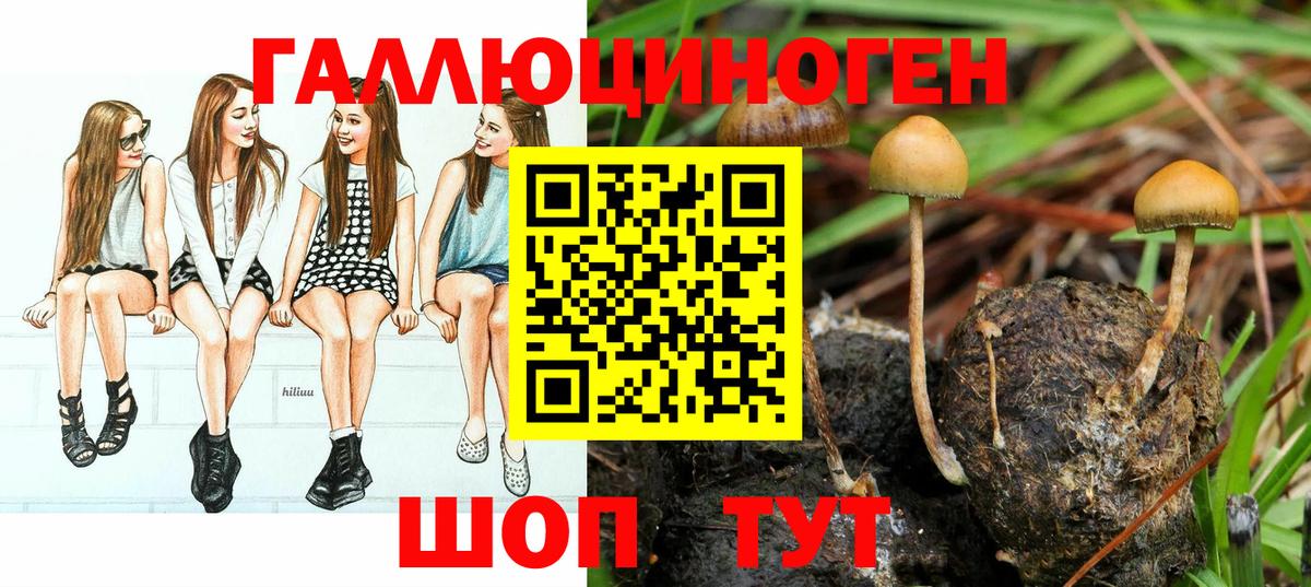 Псилоцибиновые грибы MAGIC MUSHROOMS  Вход с VPN  Похвистнево 