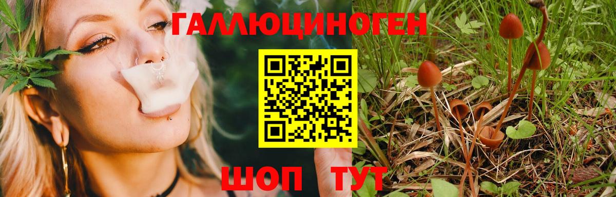 Галлюциногенные грибы ЛСД Похвистнево